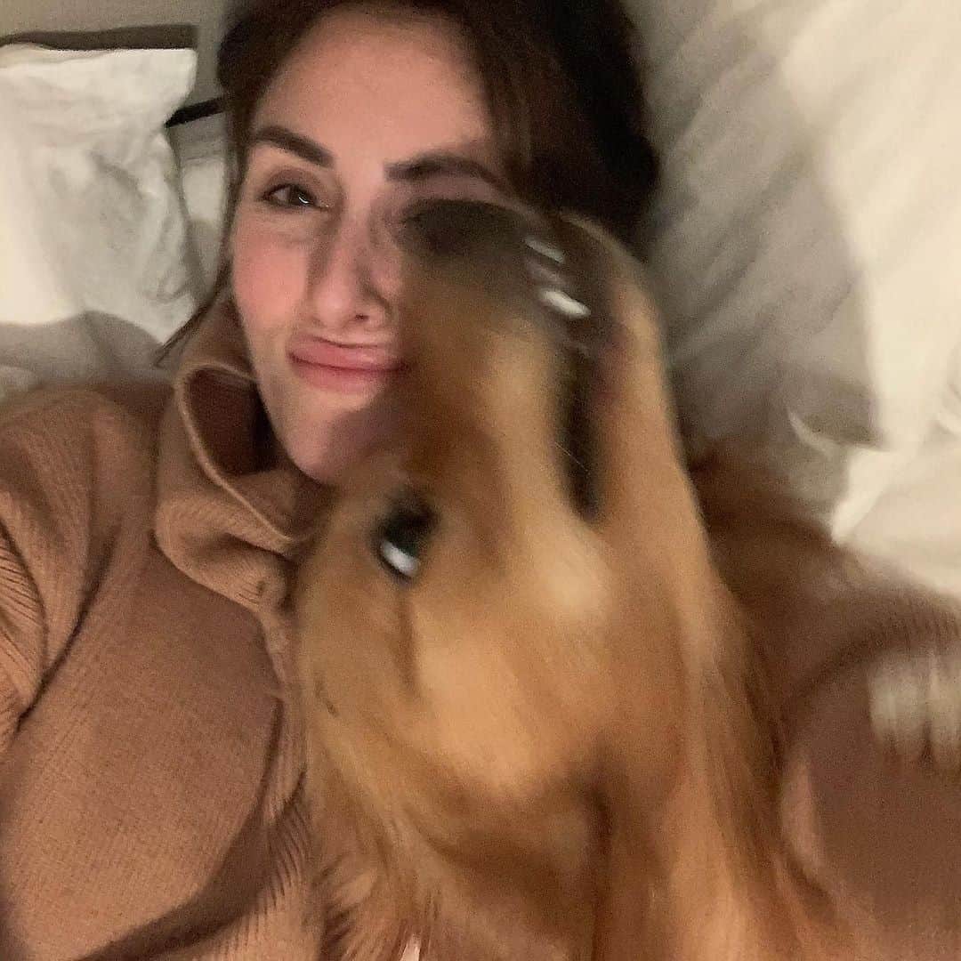 8crapさんのインスタグラム写真 - (8crapInstagram)「When someone takes selfie with you without your consent - 📷 @hugoandursula - #barked #dog #doggo #GoldenRetriever」12月11日 23時00分 - barked