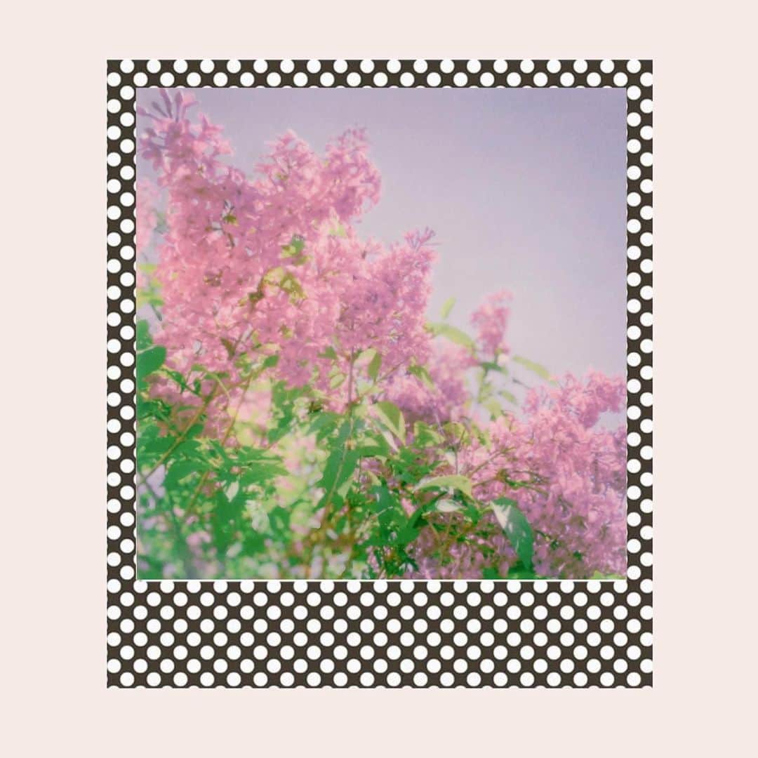 オードリー・キッチングのインスタグラム：「Only here for a moment ◑ @brunoroids」