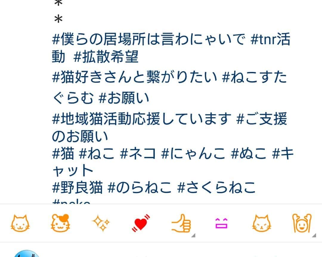 路地裏のにゃん吉さんのインスタグラム写真 - (路地裏のにゃん吉Instagram)「日々猫の保護活動されています@samurai_neko さんからのRepostです。 猫を動物を愛する皆さんご協力お願い致します。 #僕らの居場所は言わにゃいで #tnr活動 #拡散希望#猫好きさんと繋がりたい #地域猫活動応援しています #ご支援のお願い #猫#ねこ#ネコ#にゃんこ#さくらねこ#neko」12月11日 23時59分 - nyankichi5656