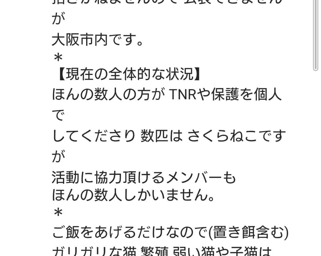 路地裏のにゃん吉さんのインスタグラム写真 - (路地裏のにゃん吉Instagram)「日々猫の保護活動されています@samurai_neko さんからのRepostです。 猫を動物を愛する皆さんご協力お願い致します。 #僕らの居場所は言わにゃいで #tnr活動 #拡散希望#猫好きさんと繋がりたい #地域猫活動応援しています #ご支援のお願い #猫#ねこ#ネコ#にゃんこ#さくらねこ#neko」12月11日 23時59分 - nyankichi5656