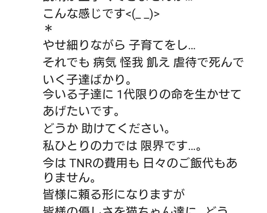 路地裏のにゃん吉さんのインスタグラム写真 - (路地裏のにゃん吉Instagram)「日々猫の保護活動されています@samurai_neko さんからのRepostです。 猫を動物を愛する皆さんご協力お願い致します。 #僕らの居場所は言わにゃいで #tnr活動 #拡散希望#猫好きさんと繋がりたい #地域猫活動応援しています #ご支援のお願い #猫#ねこ#ネコ#にゃんこ#さくらねこ#neko」12月11日 23時59分 - nyankichi5656