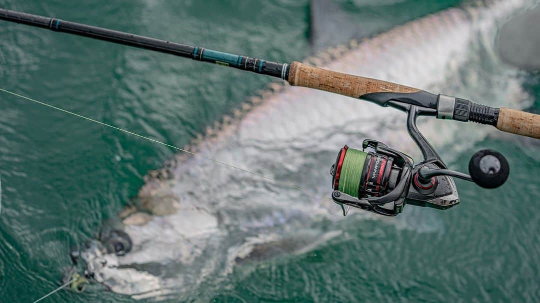 シマノ｜Fishingさんのインスタグラム写真 - (シマノ｜FishingInstagram)「The finest weaponry is required for a joust with royalty.  #FishShimano #Tarpon #TarponFishing #TarponJump」12月12日 0時00分 - fish_shimano_north_america