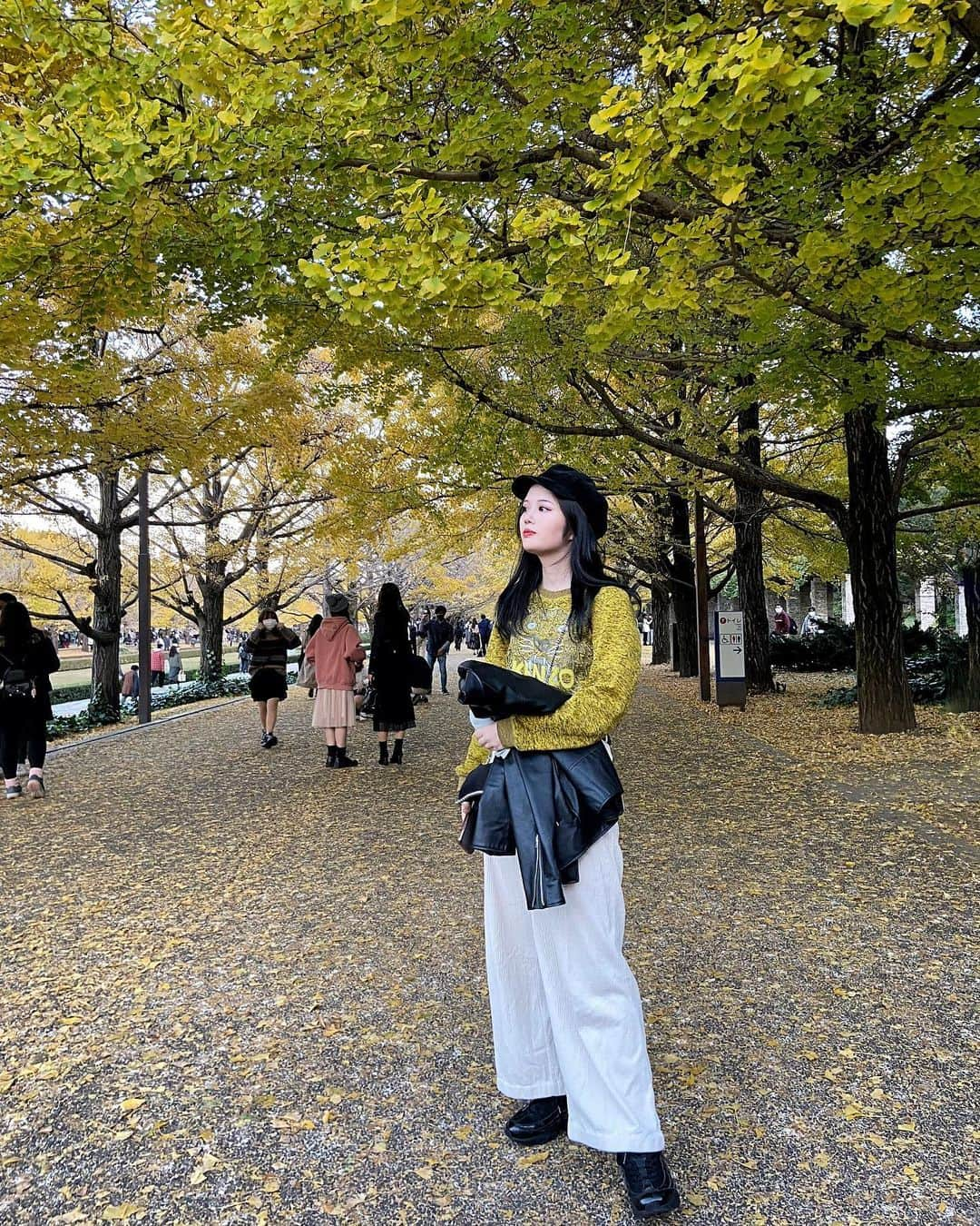 柴のインスタグラム：「もう秋終わったけども載せとく！ #国営昭和記念公園 #銀杏並木」