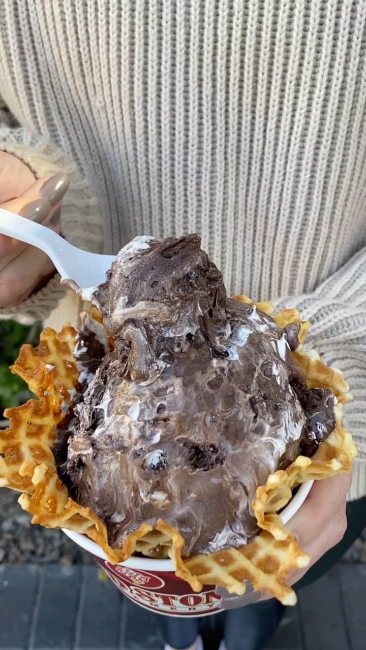 コールド・ストーン・クリーマリーのインスタグラム：「We're celebrating this holiday season with our favorite holiday tradition - Dark Chocolate Peppermint Ice Cream! Complete your holiday treat with a Creation™ of Dark Chocolate Peppermint Ice Cream, OREO® Cookies, Whipped Topping and Fudge!」
