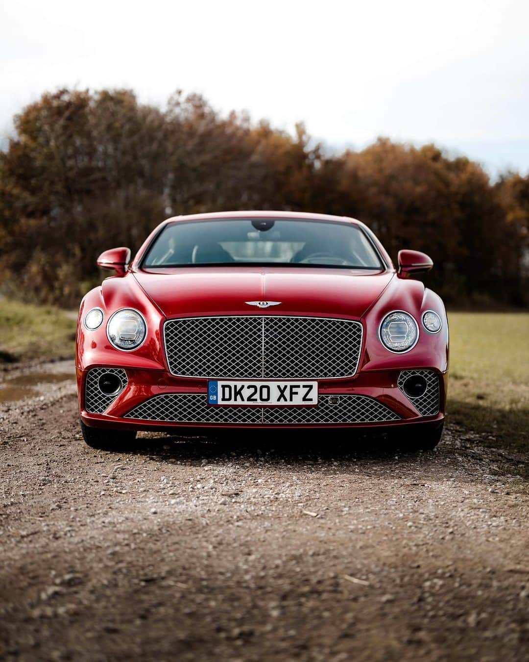 のインスタグラム：「No hide. All seek. The #ContinentalGT. #WorldOfBentley _ #Bentley Continental GT WLTP drive cycle: combined fuel consumption: 20.8 mpg (13.6 l/100 km), combined CO₂: 308 g/km. Photos by @haberkornphotography」