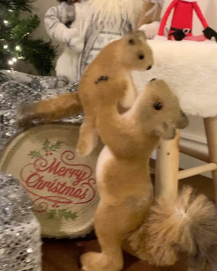 アンディ・キャロルのインスタグラム：「Christmas Ready Animals Under The Tree Let’s Get Past 2020 And Out Of Tier 3!! 🎅🏼🐫🦓🦘🐊🦌🦃 - - - @wildonmeats」