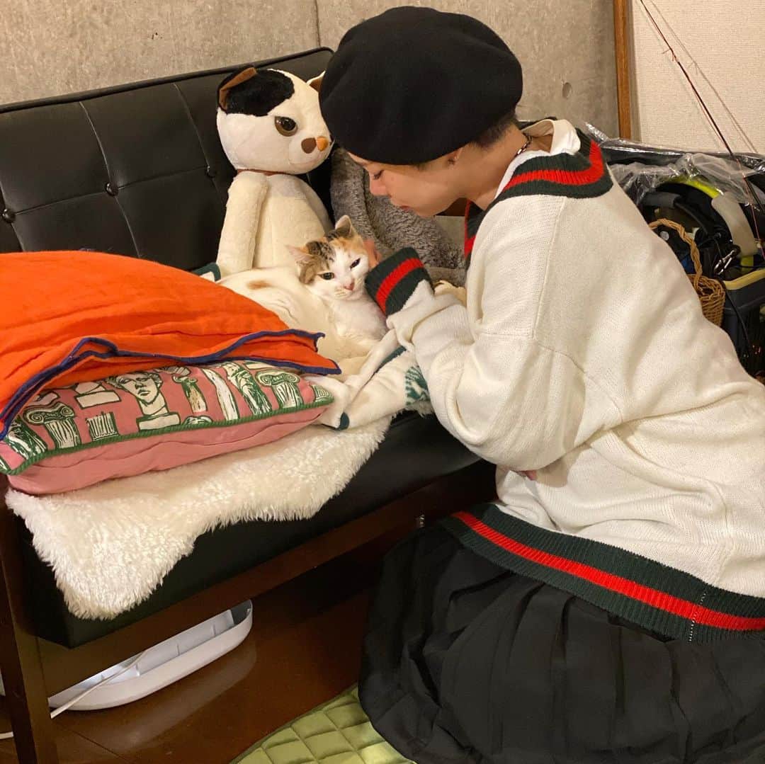 ichigoさんのインスタグラム写真 - (ichigoInstagram)「寒くなってきたねぇ。 みんな元気ですか☻  ichigoはいつもの喫茶店でコーヒーのんだり、カレーつくったり、猫と遊んだりした。日常☻」12月12日 2時46分 - ichiringo