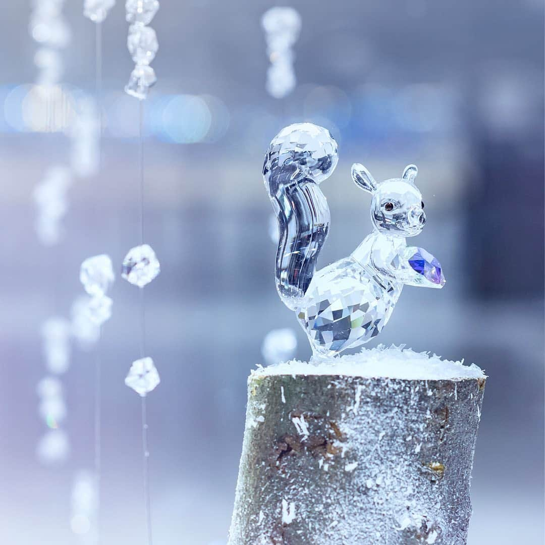 SWAROVSKIさんのインスタグラム写真 - (SWAROVSKIInstagram)「An adorable squirrel stars in Frozen Dreams, a new installation at the Swarovski Kristallwelten store in Wattens, Austria. In its paws? A crystal icicle coated in our Aurora Borealis effect, casting a rainbow-like shimmer—one inspired by the Northern Lights.   #Swarovski #Kristallwelten」12月12日 3時17分 - swarovski