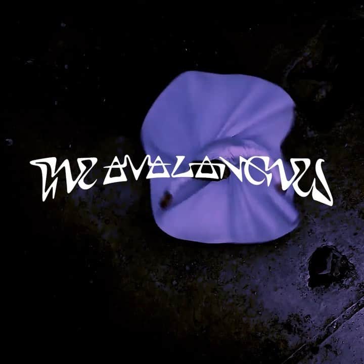 MGMTのインスタグラム：「We’re honoured to be featured alongside @johnnymarrgram for the new @theavalanches track "The Divine Chord"  Listen to (and watch the video for) "The Divine Chord" on @theavalanches new album "We Will Always Love You" out TODAY.  links in bio」
