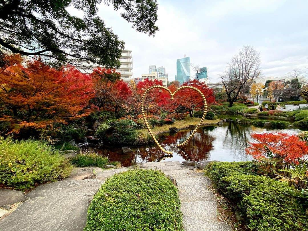 遠藤憲一さんのインスタグラム写真 - (遠藤憲一Instagram)「スタッフです。 今後のオンエア予定です。 🍁12/13(日)19:00〜 （再）嫌われ監察官 音無一六スペシャル（BSテレ東） 🍁12/16(水)26:05〜 （再）真実への鉄拳〜中国・伝統武術と闘う男〜（NHK総合）ナレーション 🍁12/17(木)22:50〜 クラシックTV（NHK Eテレ）ゲスト  写真は六本木の紅葉です💛」12月12日 13時42分 - enken.enstower