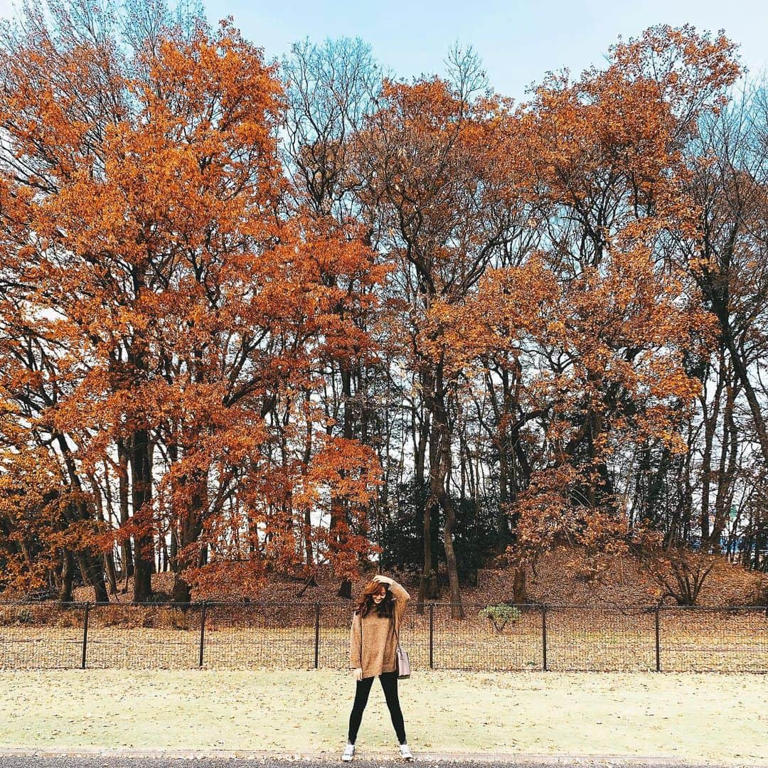 神田咲実さんのインスタグラム写真 - (神田咲実Instagram)「紅葉🍁  もうすっかり寒くなった🤎  #紅葉#autumncolors🍁」12月12日 13時47分 - sakimikanda