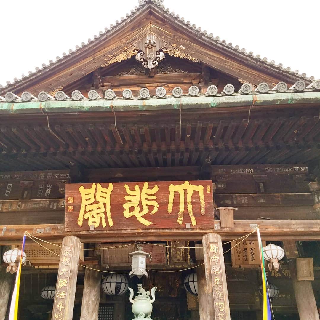黒田啓蔵さんのインスタグラム写真 - (黒田啓蔵Instagram)「最終ロケ地、奈良の長谷寺です。 素敵な場所です。 寒桜と紅葉。 #奈良 #長谷寺 #素敵な場所 #ロケ#撮影」12月12日 13時51分 - kurodakeizo