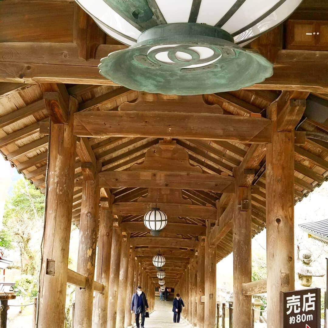 黒田啓蔵さんのインスタグラム写真 - (黒田啓蔵Instagram)「最終ロケ地、奈良の長谷寺です。 素敵な場所です。 寒桜と紅葉。 #奈良 #長谷寺 #素敵な場所 #ロケ#撮影」12月12日 13時51分 - kurodakeizo
