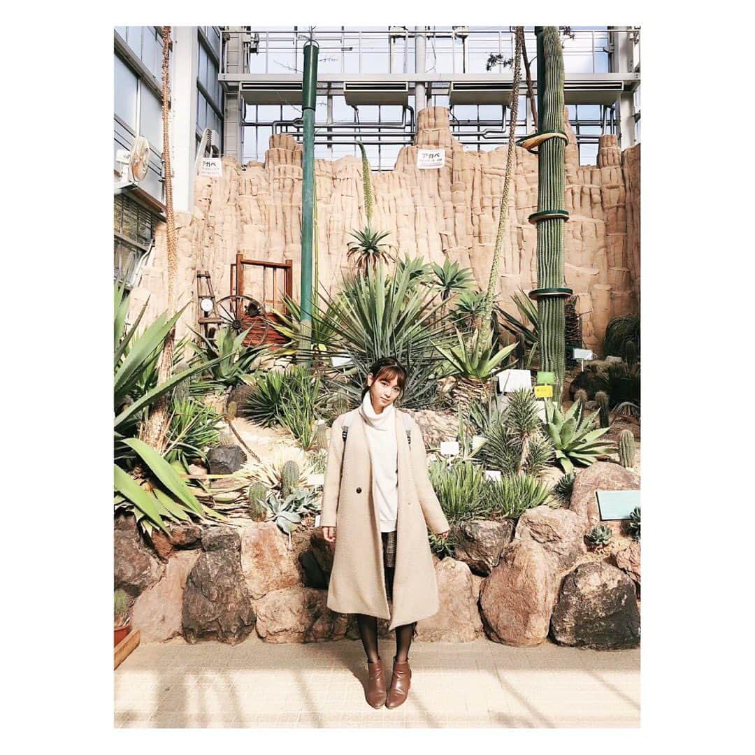 小河結香のインスタグラム：「紅葉見に行った🍁🍂 けど1番好きなのは温室のサボテン🌵💕 天使も楽しそう👼✨ もう何回も行ってるから動物の写真とか 今更で撮ってないや✋ #東山動植物園 #紅葉 #植物園 #動物園 #コアラプレート #動物園ランチ #天使とデート #秋の動物園 #天使とデート」