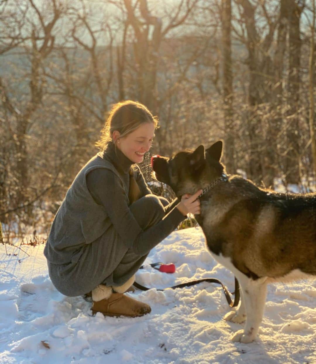 ヴラダ・ロスリャコヴァのインスタグラム：「Yumi just promised not to eat my soon coming kitten and agreed to be a big caring sister for him. 🥰  #dealoftheday #akita」