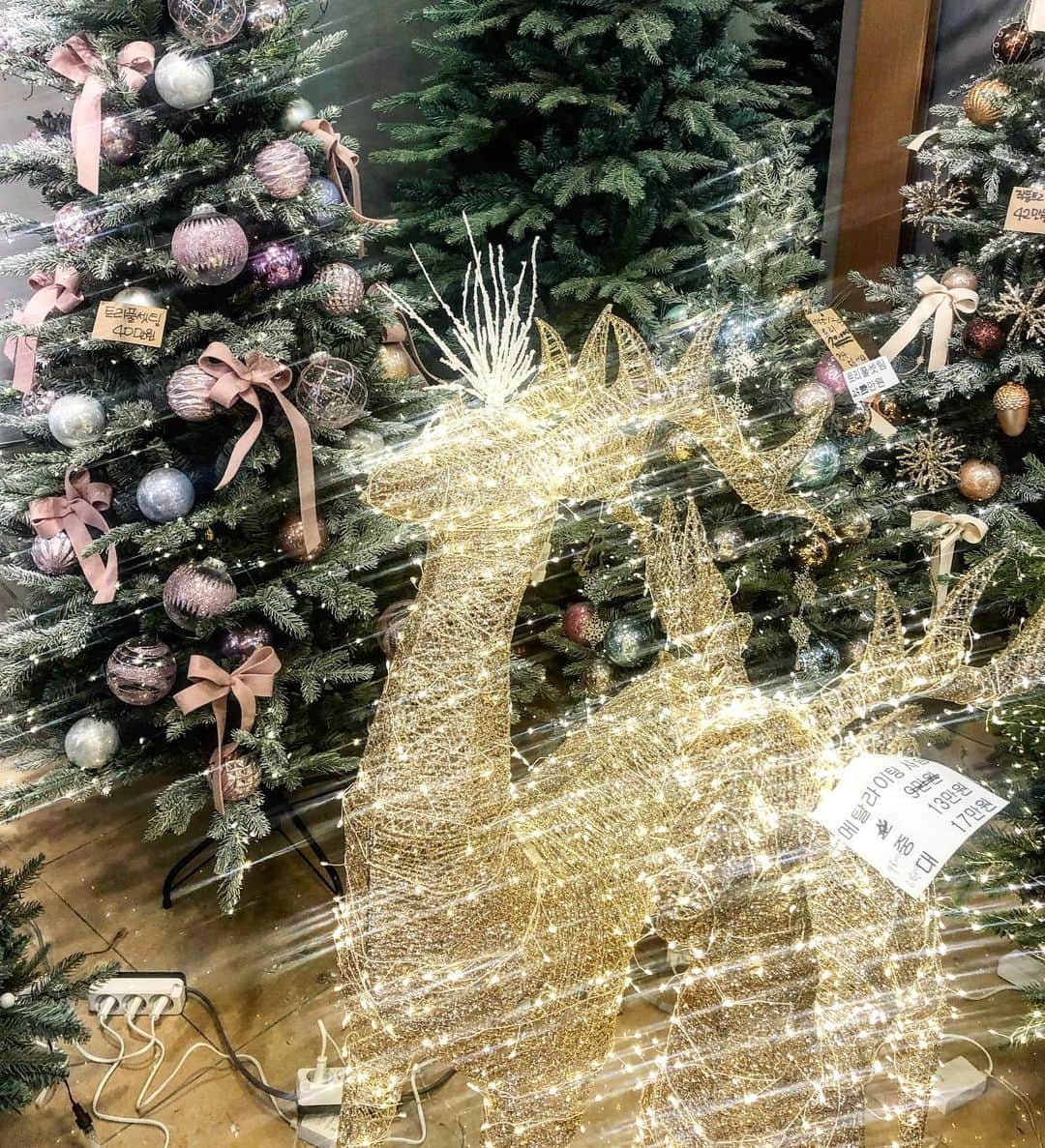 Areum Jungさんのインスタグラム写真 - (Areum JungInstagram)「💖크리스마스 주간 꾸미기 돌입쇼핑💖❄️❄️💖 . R u ready for Christmas ?💖 . #크리스마스엔하체」12月12日 14時39分 - areumjung