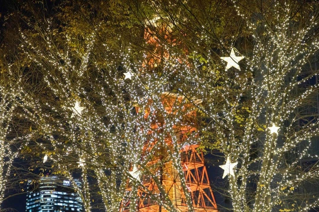 ザ・プリンス パークタワー東京さんのインスタグラム写真 - (ザ・プリンス パークタワー東京Instagram)「この時期は、ホテルのイルミネーションと東京タワーの豪華なコラボレーションをお楽しみいただけます。  Come explore our Christmas illumination around our hotel while admiring one of Tokyo's most iconic monuments at night  Share your own images with us by tagging @princeparktowertokyo  —————————————————————  #TokyoTower #princeparktower #princehotels #tokyo #japan #beautifulhotels #tokyohotel #shibakoen #akabanebashi #azabujuban #tokyotower #ThePreferredLife #xmas #christmas #christmasdecorations #プリンスパークタワー東京 #東京タワー #クリスマス #クリスマスデコレーション #イルミネーション」12月12日 15時00分 - princeparktowertokyo