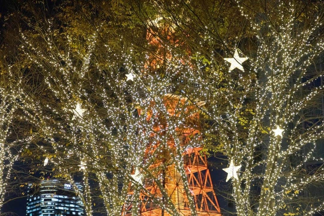のインスタグラム：「この時期は、ホテルのイルミネーションと東京タワーの豪華なコラボレーションをお楽しみいただけます。  Come explore our Christmas illumination around our hotel while admiring one of Tokyo's most iconic monuments at night  Share your own images with us by tagging @princeparktowertokyo  —————————————————————  #TokyoTower #princeparktower #princehotels #tokyo #japan #beautifulhotels #tokyohotel #shibakoen #akabanebashi #azabujuban #tokyotower #ThePreferredLife #xmas #christmas #christmasdecorations #プリンスパークタワー東京 #東京タワー #クリスマス #クリスマスデコレーション #イルミネーション」