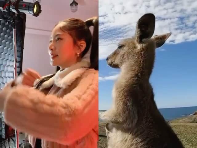 曾之喬のインスタグラム