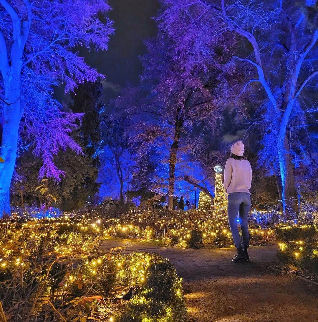 サラ・カルボネロさんのインスタグラム写真 - (サラ・カルボネロInstagram)「Noches de cuento ✨  . #Naturalezaencendida #JardínBotánico #magia #Madrid #Navidad2020」12月12日 6時34分 - saracarbonero