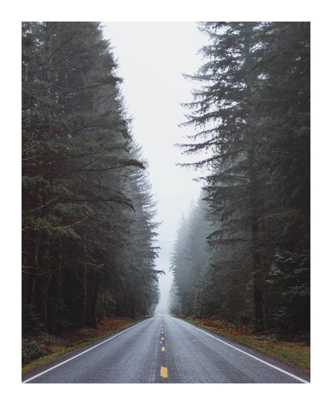 Cory Staudacherのインスタグラム：「“Mountain Road” - Fine Art Prints available now.  Check out new the print shop. ⚡️」