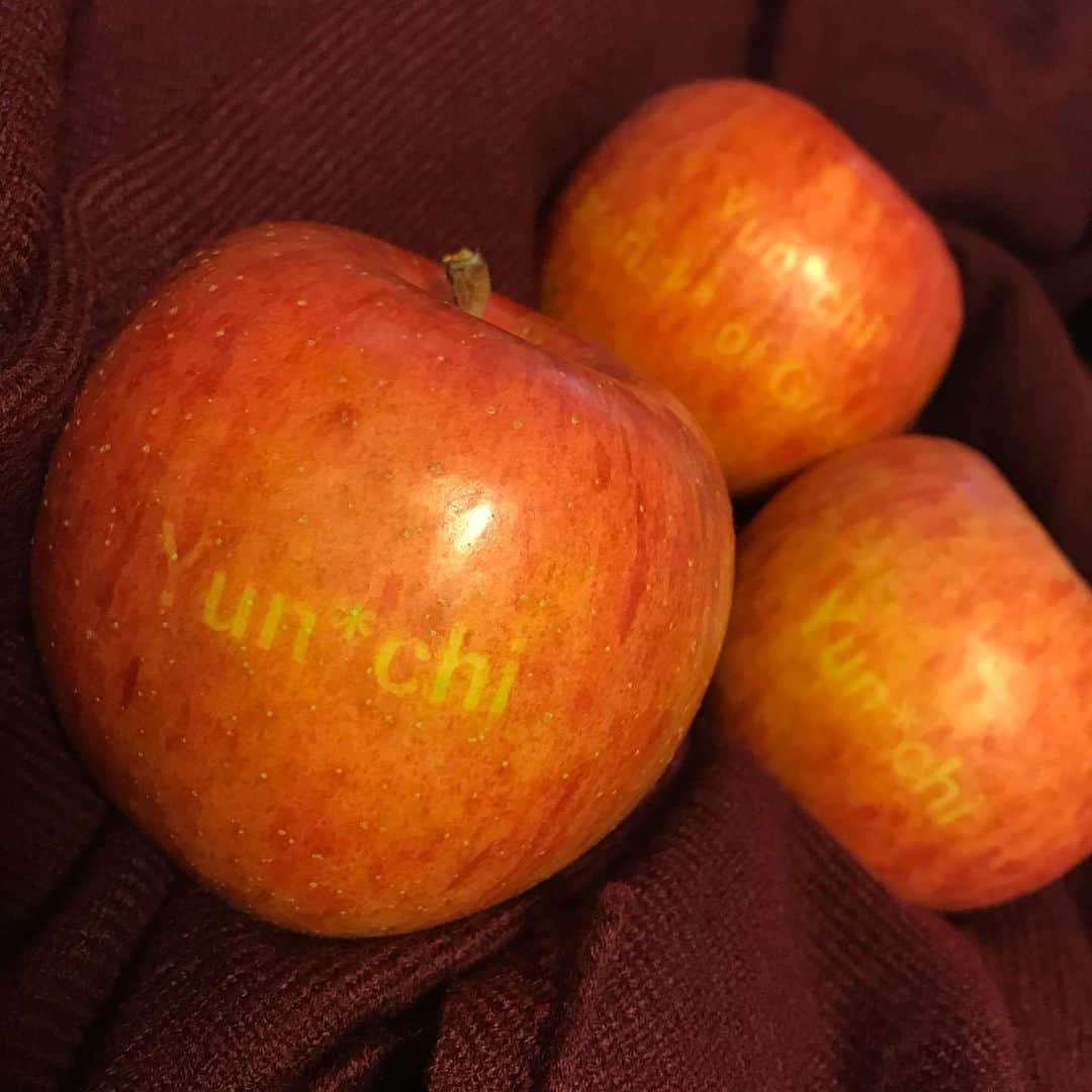 Yun chiさんのインスタグラム写真 - (Yun chiInstagram)「🍎 Yun*chi 🍎  ファンの方が作ってくれました🌳 時間をかけて用意してくれたのかと思うと優しい気持ちをプレゼントしてもらって、胸がほっこりしました。感謝です。  リンゴの木下で、赤くなるのを待ってくれてたのかな〜なんて、🎈😌  #長野のりんご」12月12日 7時50分 - _yun_chi_