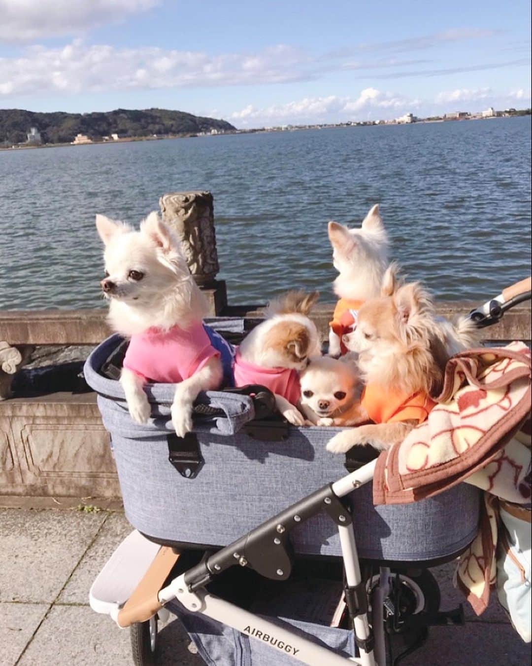 ∞maki∞??????のグルメインスタ