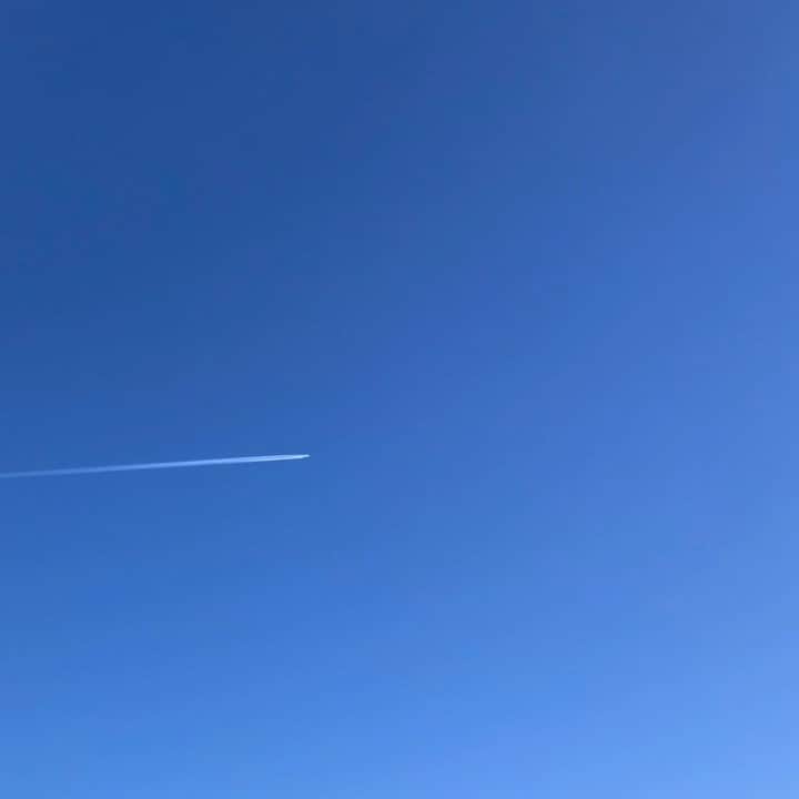BLUER®︎ -ブルーアーのインスタグラム