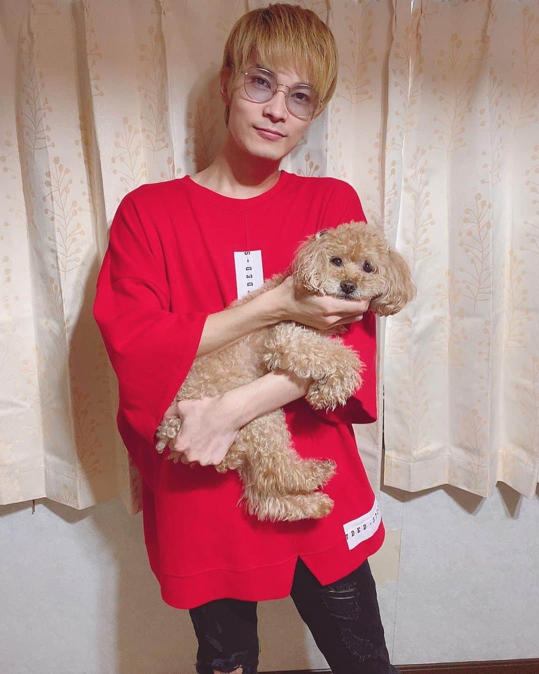 のインスタグラム：「昨日は12回目のチャキちゃんの誕生日でした。 長生きしてほしいと切に願う😂🙏❤️ 生まれてきてくれて、若菜家に来てくれて本当にありがとう！！！ #愛犬 #兼 #弟 #可愛い #お誕生日 #1日遅れなのは #歳をとってほしくない #小さな抵抗だと思ってくれ #followme #thankyou」