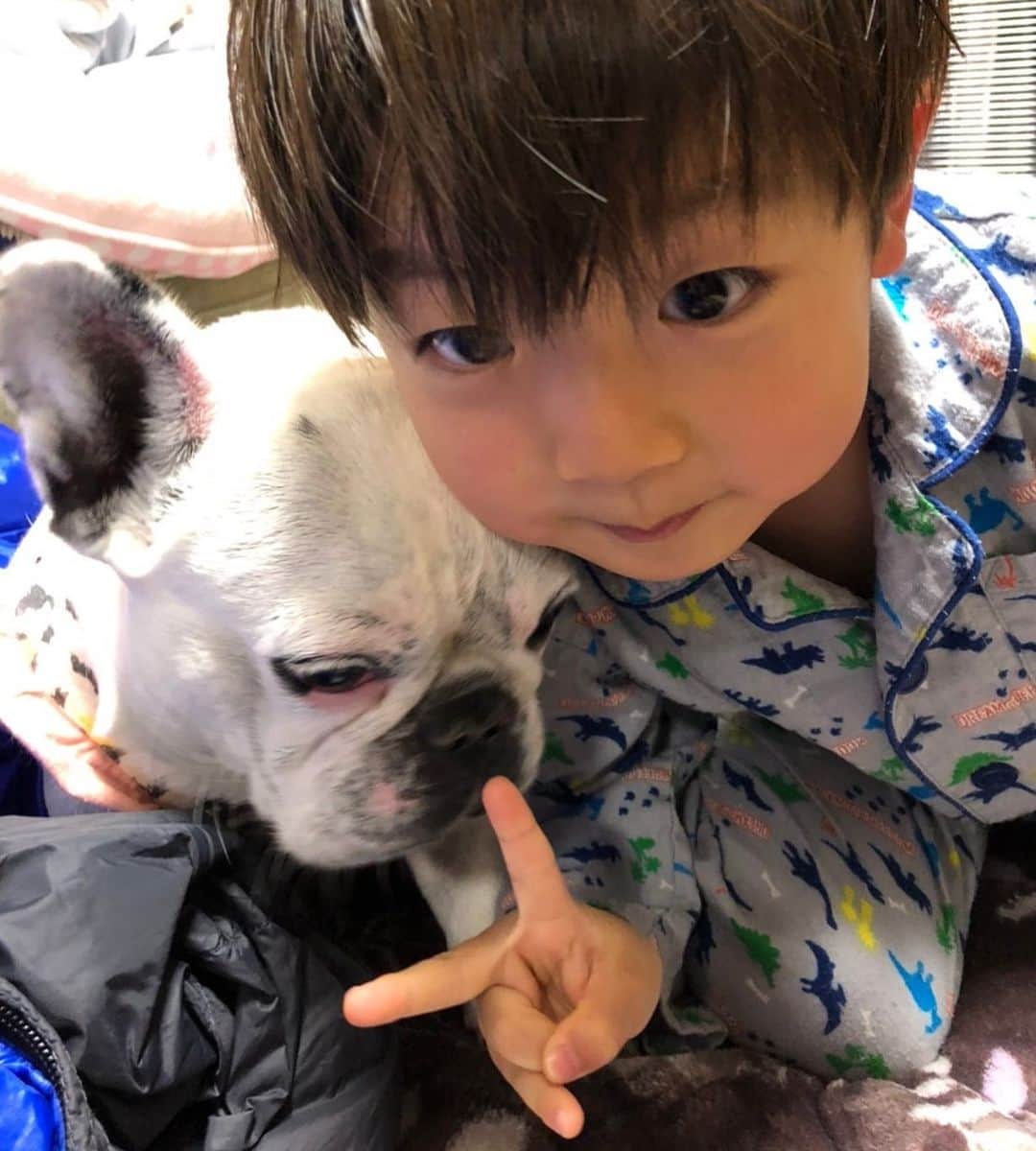 のインスタグラム：「✳︎ 甥っ子はるちゃん👶実家にお泊まり中らしい。 ダブル👶🐼で可愛いんだからもぅ〜🤤❤️ . . #ふうこ日記 #ふうちゃん🐼 #ふがれす卒業生 #保護犬出身 #フレンチブルドッグ #フレンチブルドッグパイド #はるちゃんふうちゃん👶🐼」