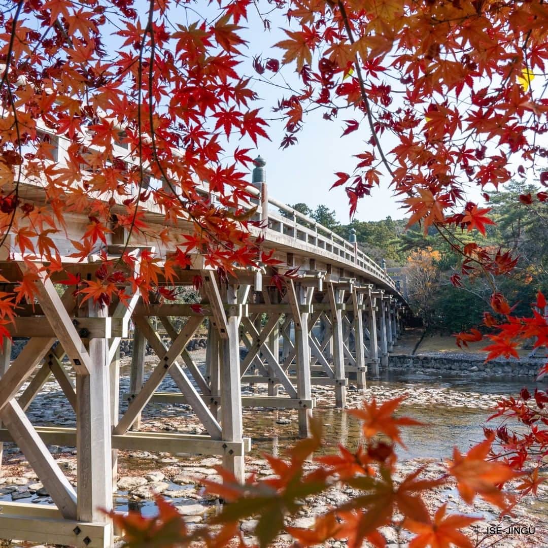 のインスタグラム：「#伊勢神宮 #神宮 #神社 #心のふるさと #内宮 #宇治橋 #五十鈴川 #紅葉 #和橋 #ISEJINGU #JINGU #SOUL_of_JAPAN #japan #jinja #shinto #naiku #ujibashi #isuzugawa #autumncolors #japanesebridge」