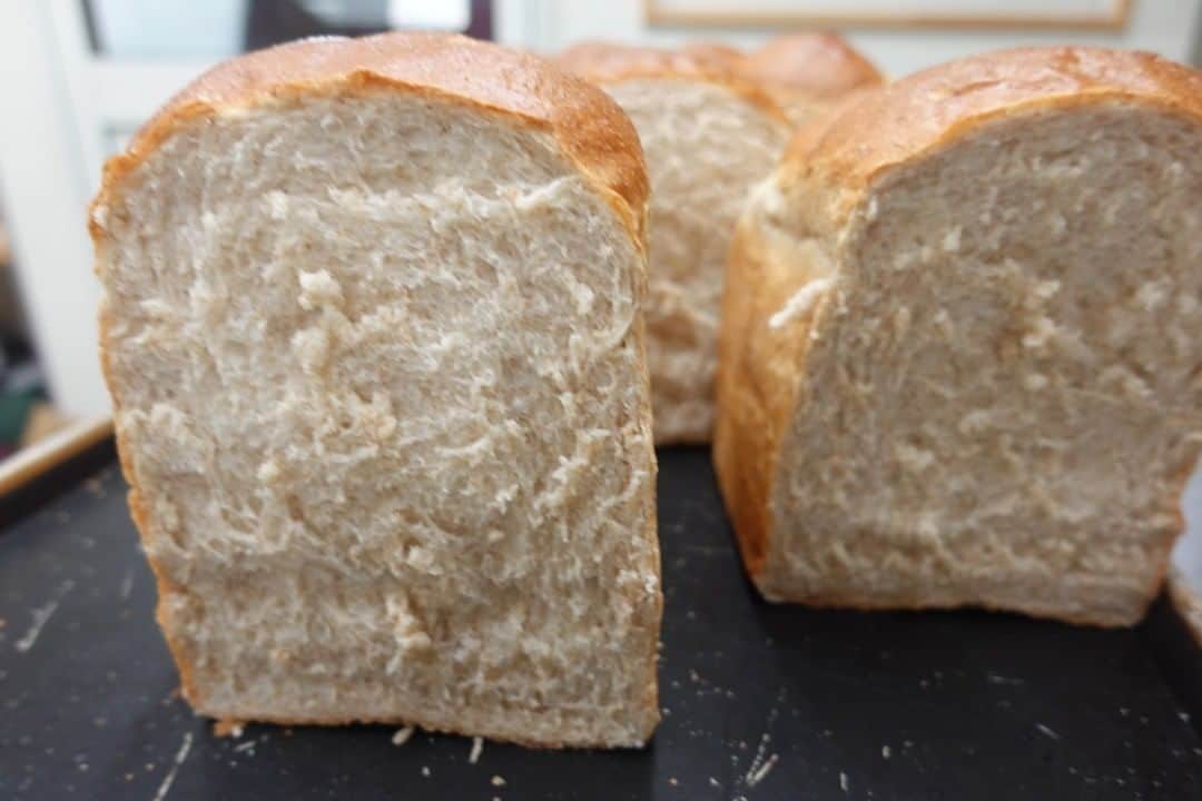 魔女菅原のグルメインスタ