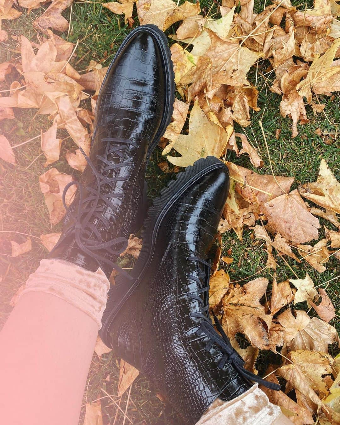 クリスタ・B・アレンのインスタグラム：「falling 🍂」
