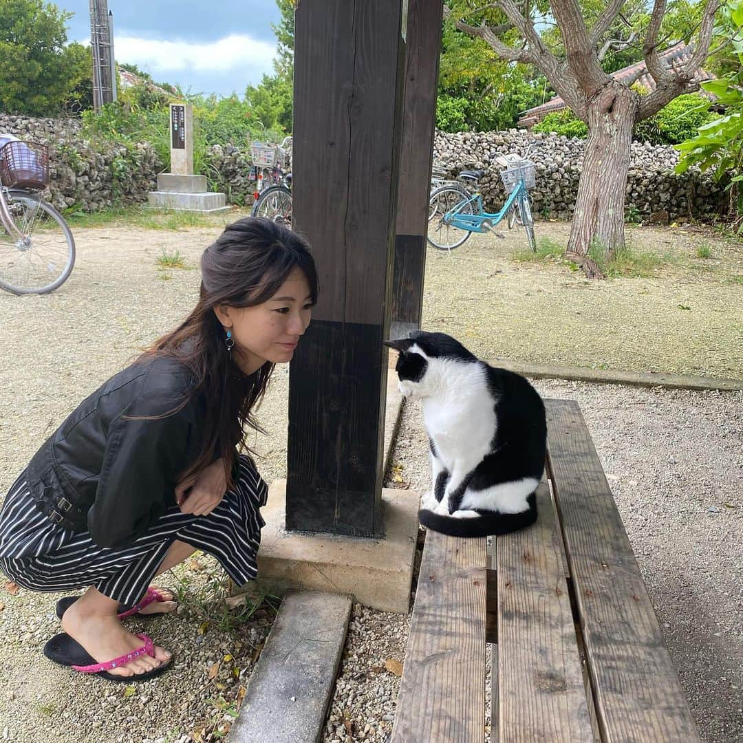 にゃんさんゴルフさんのインスタグラム写真 - (にゃんさんゴルフInstagram)「. こないだの竹富島でのブランコ。笑 落っこちてケガしたやつ笑  いろんな動物いた竹富島💕🐮🐈🐴🐐  #石垣島#竹富島#沖縄旅行#竹富島観光#国内旅行 #gotoトラベル#星の砂#水牛#おしりちゃん #ブランコ#にゃんさん#ねこ#馬#ヤギィ」12月12日 11時27分 - miiiii0228