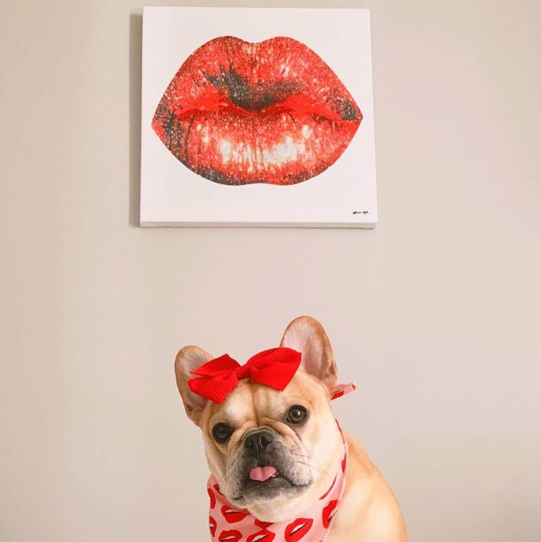 のインスタグラム：「⁠⁠I didn’t choose the glam life, the glam life chose me 💋⁠ #olivergal ⁠ ⁠ 📷 @lemmyandpip」