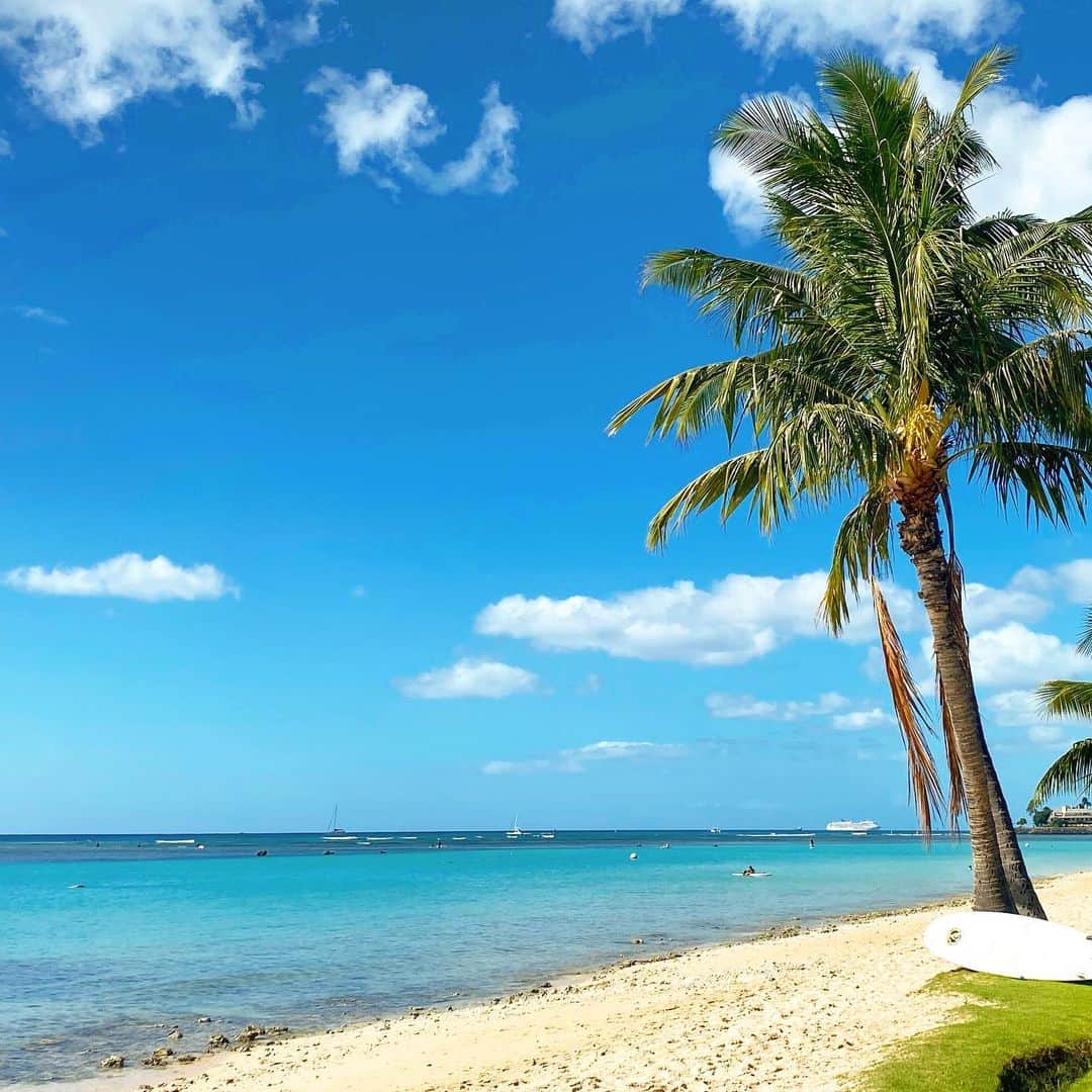 マキ・コニクソンさんのインスタグラム写真 - (マキ・コニクソンInstagram)「Aloha from Ala Moana Beach Park!! ⛱今日もご機嫌のハワイです！ 後半戦も楽しもう！🤗  #エアハワイ🌺  #ハワイのおすそ分け🤙🏼」12月12日 12時38分 - makikonikson