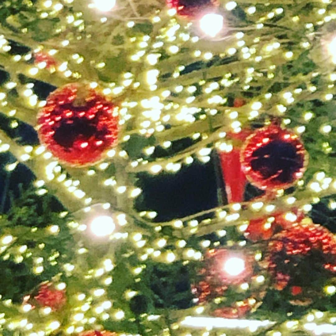 成瀬のインスタグラム：「クリスマス近いね〜」