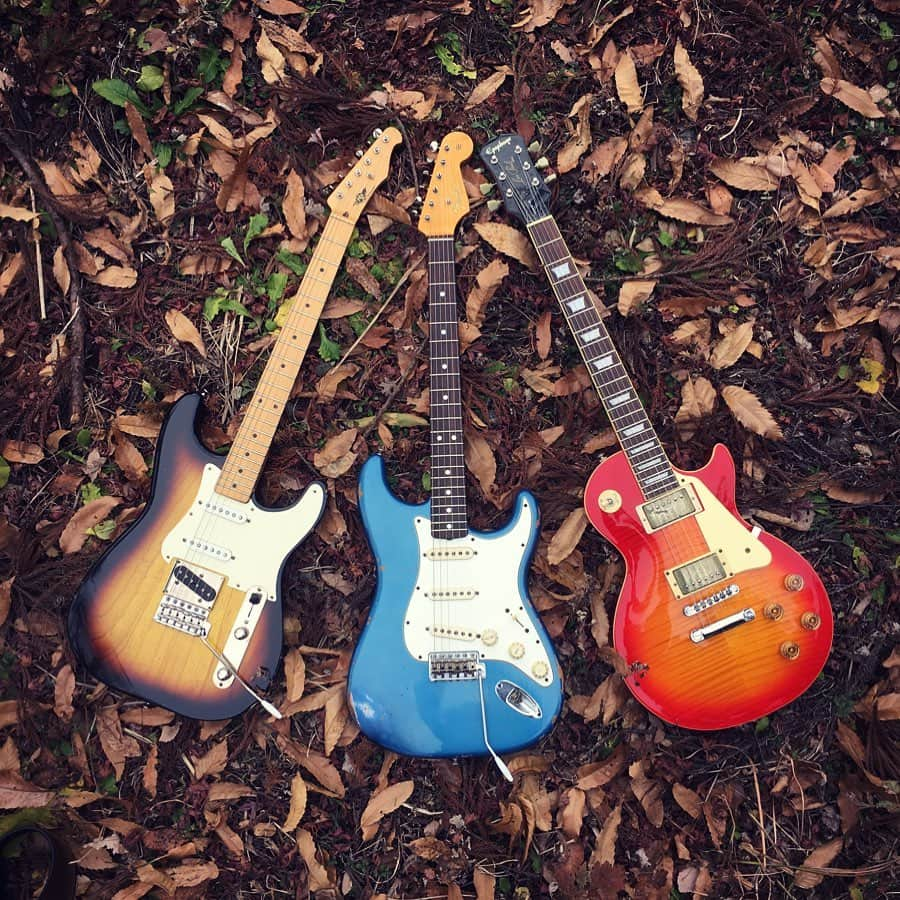 砂川一黄のインスタグラム：「GIG at the forest.  #fender #rsguitarworks #epiphone #fendercustomshop #fenderstratocaster #gibson #lespaul #響きの森 #czechonorepublic」