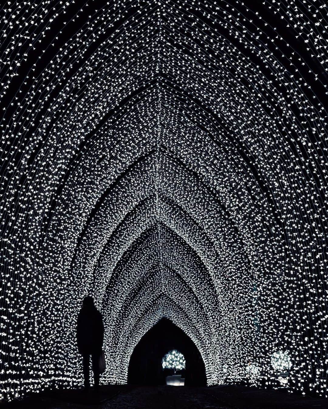 kaelのインスタグラム：「A magical travel memory ✨✨」