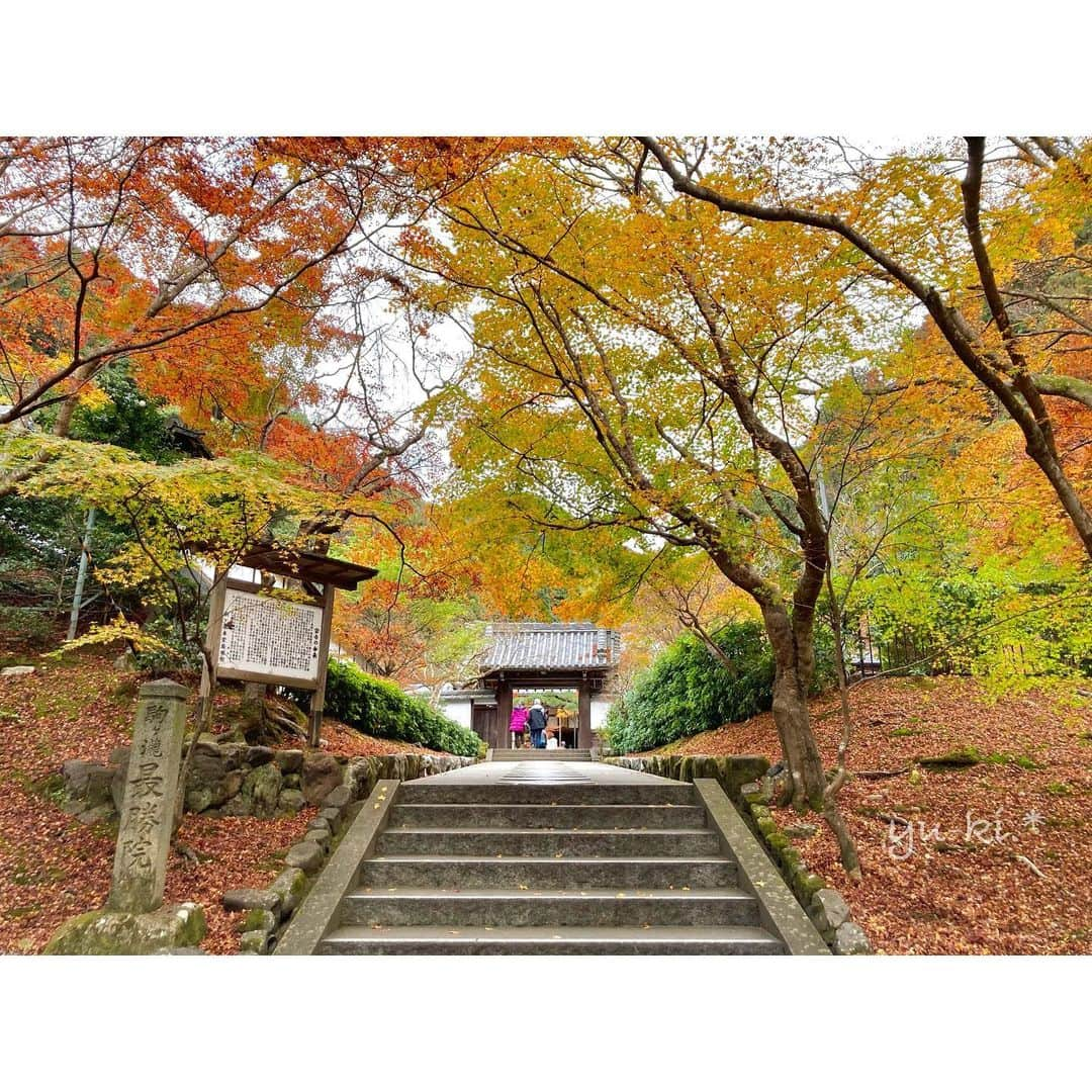 二見夕貴さんのインスタグラム写真 - (二見夕貴Instagram)「. 秋のひとり旅 2020 Kyoto🍁Day 2 . . 南禅寺も割と散り気味だったけど 奥にあった最勝院辺りは とてもすきな感じの紅葉具合でした☺️ . 3色グラデーションの紅葉が たまらなくすきー. * . . こんなところにもたぬきくん🙋🏼‍♀️Hi! . #redleaves #japanautumn #kyototrip #travelinjapan #cameragirl #tripgirl #nanzenji #紅葉狩り #秋旅 #カメラ女子 #京都旅 #ひとり旅女子 #南禅寺 #南禅寺最勝院 #ファインダー越しの私の世界 #写真好きな人と繋がりたい」12月12日 23時38分 - yyyuki___