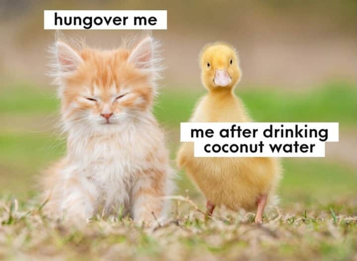 Vita Coco Coconut Waterのインスタグラム：「You're not you when you're hungover*   *like @snickers, but different.」