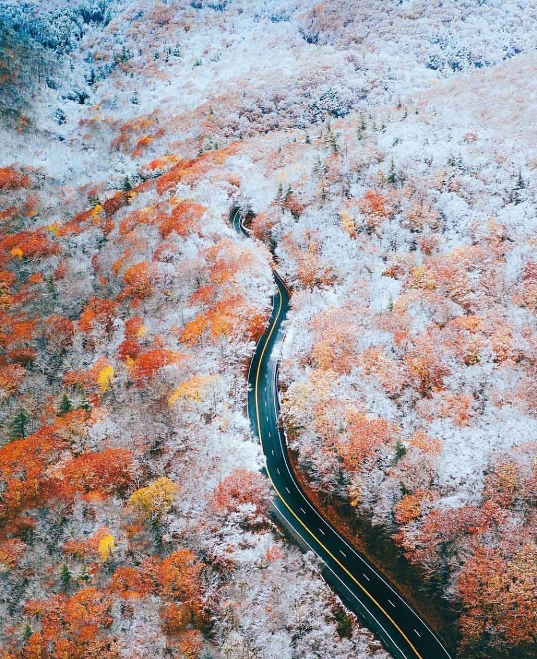 Padgramさんのインスタグラム写真 - (PadgramInstagram)「The transition from fall 🍁🍂 to winter ❄️🌨 in the Catskill Mountains by @michaeldbliss  ➖➖➖ #pgdaily #pgstar #pgcounty #fall #winterseason #winter  #catskillsmountains #catskill #planetgo #planet #planetearth #amazing #awesome #nature」12月13日 0時12分 - planet.go