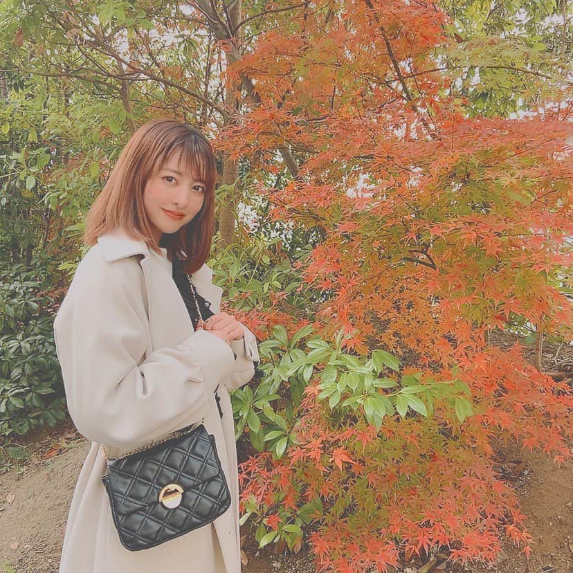 羽島みきのインスタグラム：「ほんのちょっとだけ紅葉を 楽しめました🍁❤️  #コート #バッグ #heather」