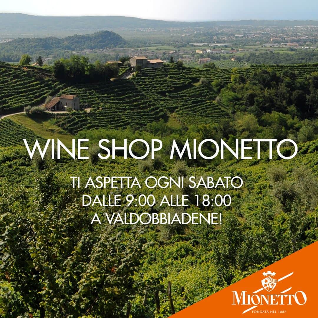 Mionetto Proseccoのインスタグラム：「Vieni a trovarci e a scoprire la nostra selezione di pregiate bollicine!⁣⁣ Ti aspettiamo ogni sabato dalle 9:00 alle 18:00 nel nostro Wine Shop in via Colderove 2 a Valdobbiadene🍾🧡⁣ #mionettoprosecco #mionettoinsieme」