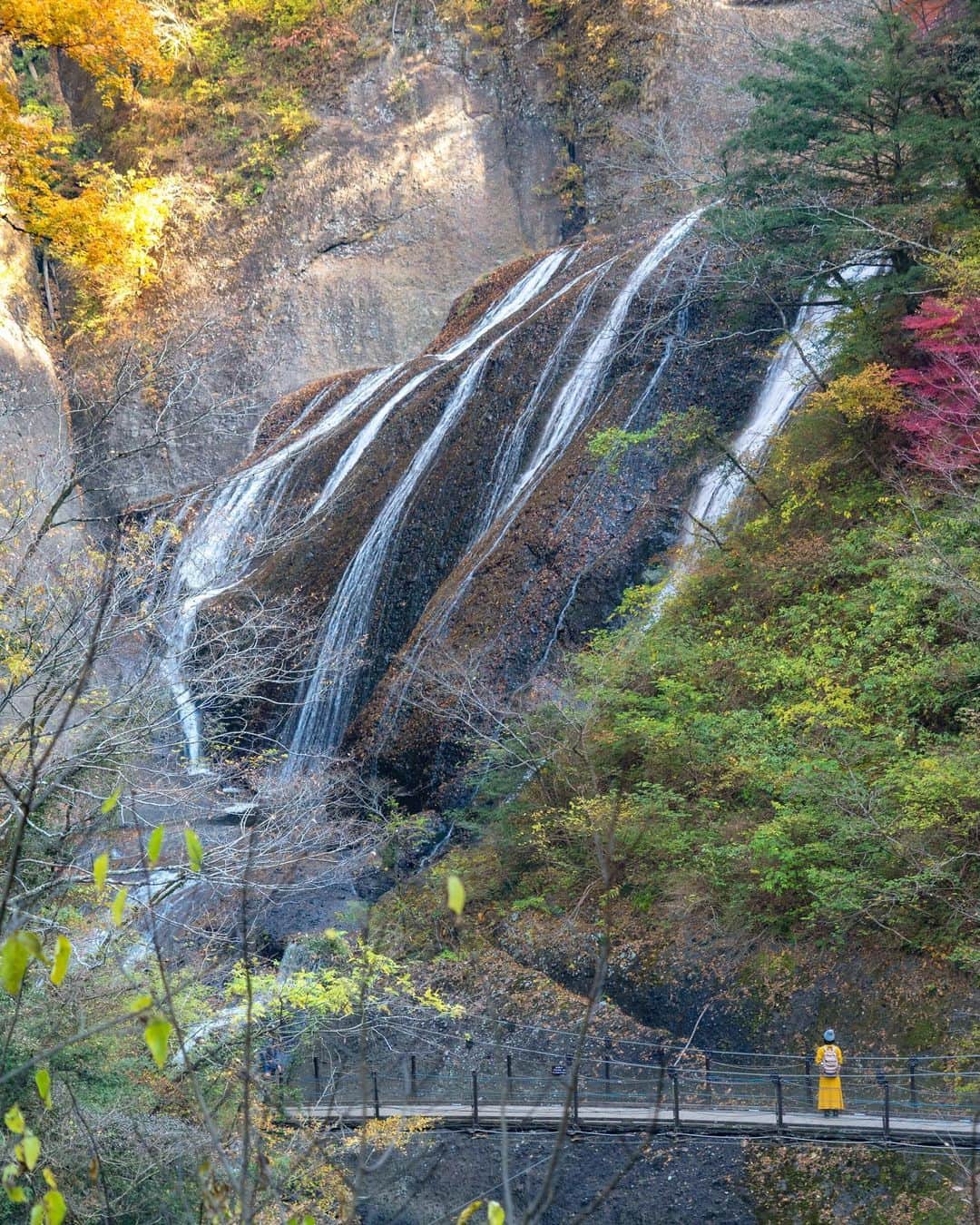 詩歩さんのインスタグラム写真 - (詩歩Instagram)「🍁﻿ ﻿ 日本三大名瀑 #袋田の滝　を遠くからパシャリ！﻿ ﻿ 小さく私が写ってるのですが、見つけられますか？🔍﻿ ﻿ 先日postした写真は袋田の滝の展望台からですが、展望台以外でもこんな角度から滝が見れるんです📷﻿ ﻿ これは帰り道にある「四度の茶屋 三六亭」で、そのテラス席からだとコーヒーを飲みながらこの角度で滝がみれるんです！吊橋と滝を一緒に写すと、滝のサイズ感がより伝わるかな〜？﻿ ﻿ 🚌﻿ ﻿ 茨城県さんのお仕事で「 #Zekkeiいばらき ツアー」を監修＆同行してきました！今年で５年目になるお仕事💪﻿ ﻿ ﻿ ツアーの様子は私のYoutubeチャンネル「詩歩の絶景Vlog」で公開しています😊﻿ ﻿ 🍁﻿ ﻿ Japan's three most famous waterfalls, #Fukurodawaterfalls , in the distance!Can you spot me in the small photo? 🔍﻿ ﻿ The photo I posted the other day was taken from the observation deck of Fukuroda Falls, but you can also see the falls from this angle 📷. You can see the waterfall from this angle while drinking a cup of coffee from the terrace of the “Miroku-tei" tea house on the way back! I wonder if you can get a better sense of the size of the waterfall if you take a picture of the suspension bridge and the waterfall together?﻿ ﻿ ﻿ 📷 Nov 2020 ﻿ 📍袋田の滝／茨城県 ﻿ 📍Fukurofa waterfalls／Ibaraki Japan﻿ #shiho_ibaraki ﻿ ﻿ ﻿ ﻿ ﻿ ©Shiho/詩歩」12月12日 16時13分 - shiho_zekkei