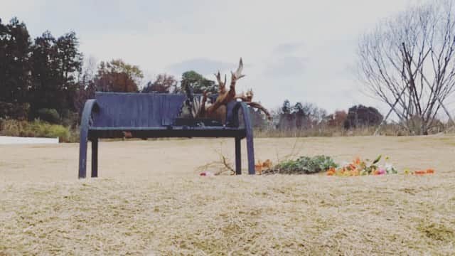 のインスタグラム：「Social distance bench  “Come sit by me”」