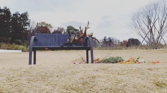 座間アキーバのインスタグラム：「Social distance bench  “Come sit by me”」