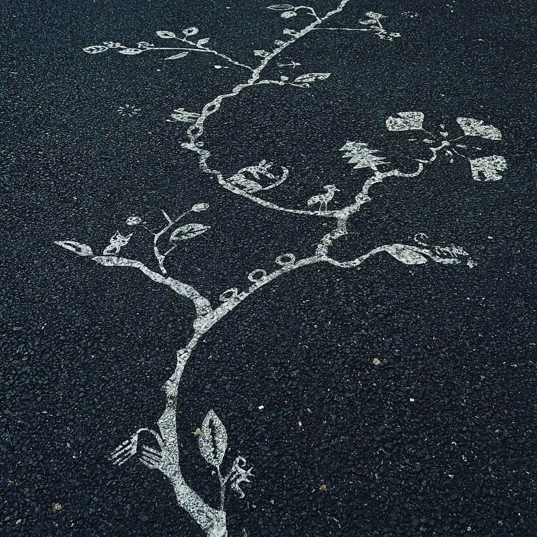 Taku Takahashiのインスタグラム：「“I am Groot”」