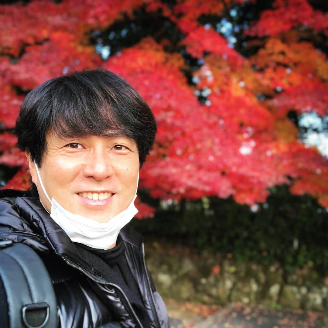 望月衛介さんのインスタグラム写真 - (望月衛介Instagram)「Still in red. Nara prefecture. #momiji  #koyo」12月12日 17時08分 - eisukemochizuki