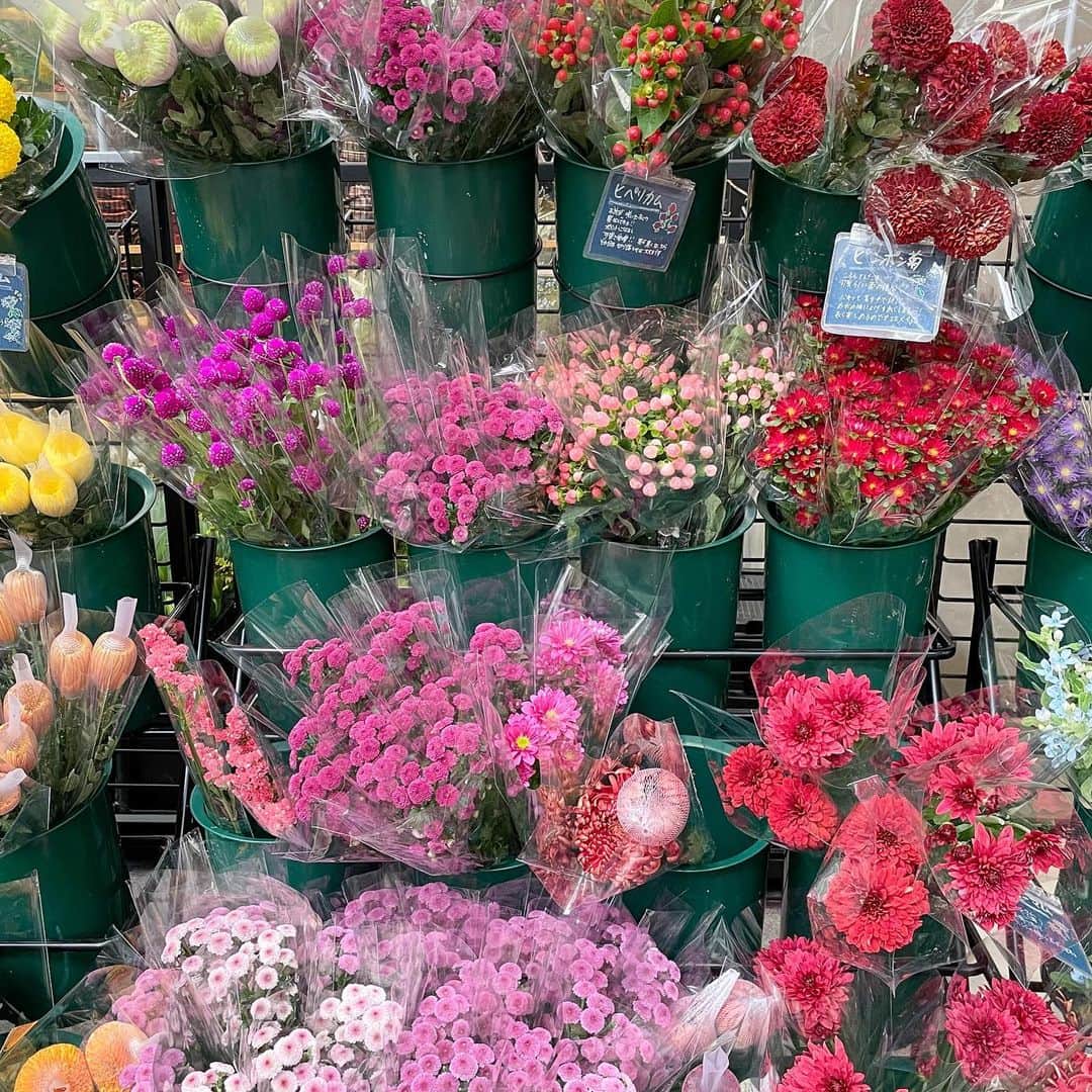 Rieさんのインスタグラム写真 Rieinstagram Uniqlo Flower ユニクロで買えるコスパ すぎる Uniqlo Flowerで花束を購入 新しく登場したユニクロフラワーは カラフルな服を販売するユニクロが 服以外でも日常をカラフルに彩ってほしい という